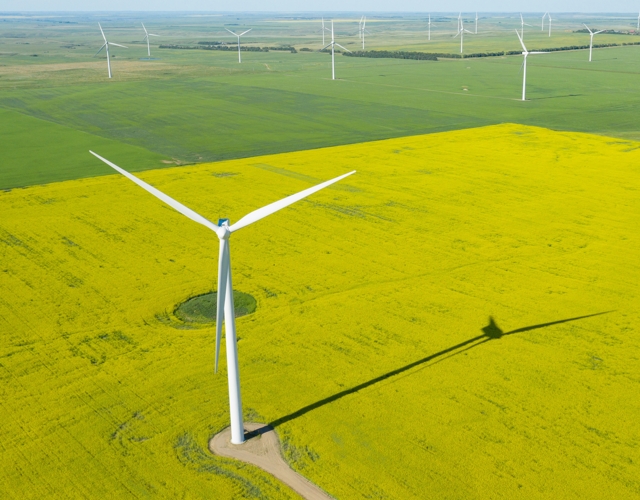 Windenergieanlage in einer landwirtschaftlich geprägten Landschaft